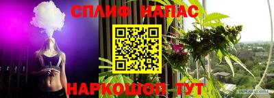 гашик Коммунар