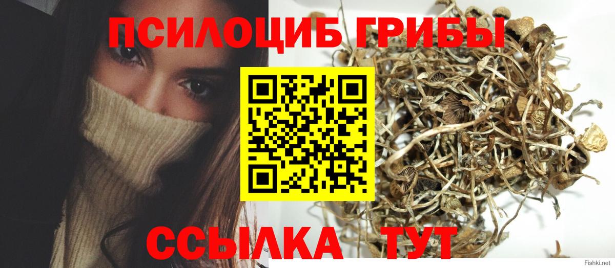 Псилоцибиновые грибы мицелий Кириши